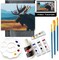 Painting4Real; Mighty Moose of Alaska Paint by Video Class Kit for Adults with Video Tutorials, Learn to Paint Moose, How to Paint with Acrylic Paint Sets for Adult, 9 Peices Art & Painting Supplies Gifts for Mom; Category:Canvas Painting Kits; Image:3